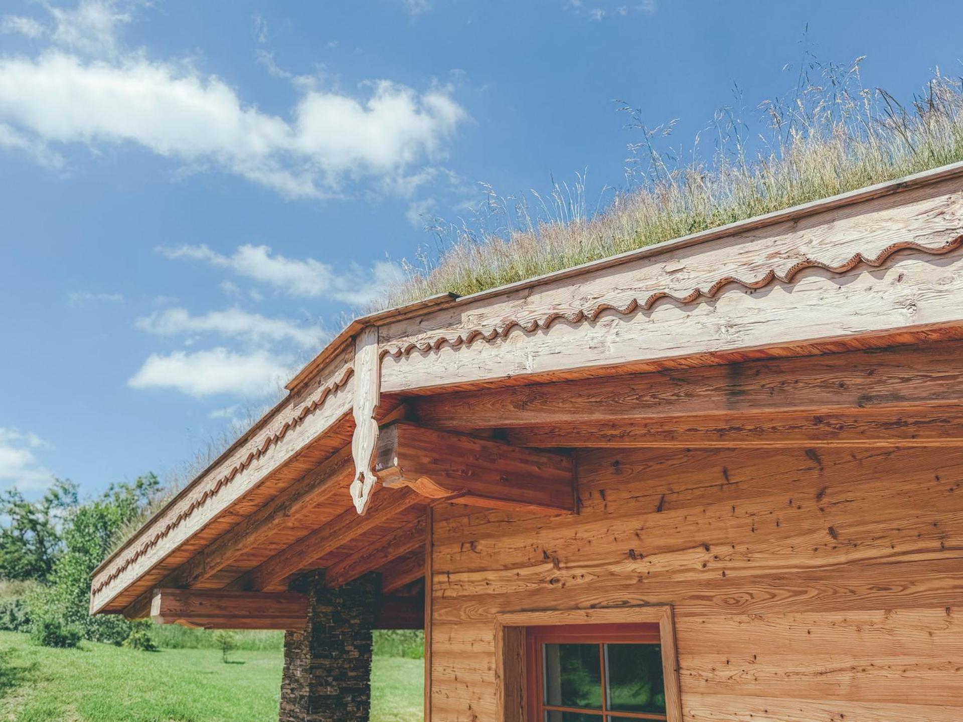 Chalets Resort Cínovec 外观 照片